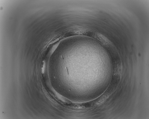 X0000087420646200704271738