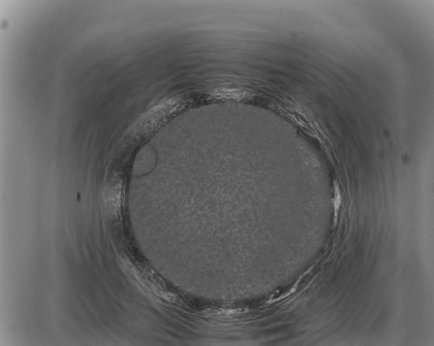 X0000087420647200704271738