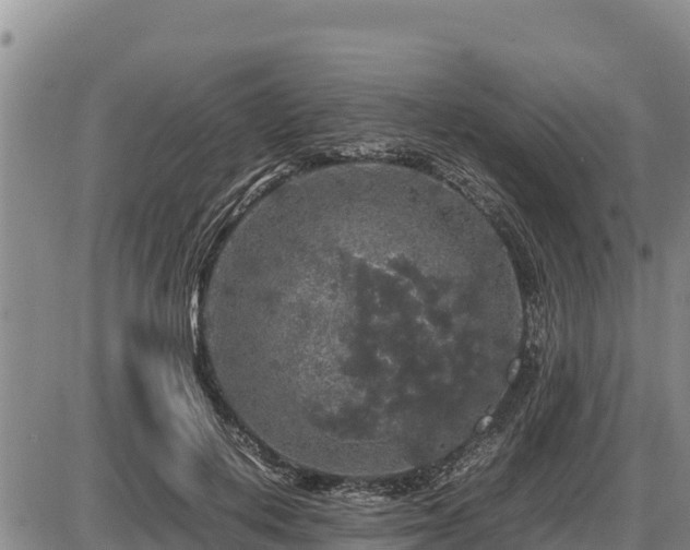 X0000087420648200704271738