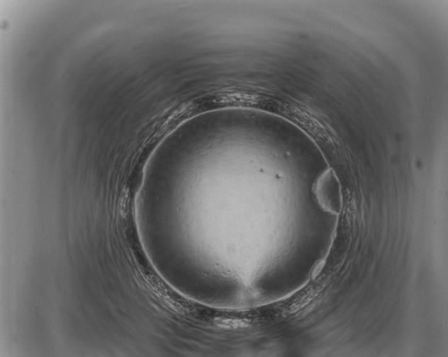 X0000087420649200704271738