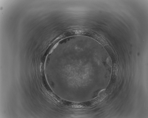 X0000087420650200704271738