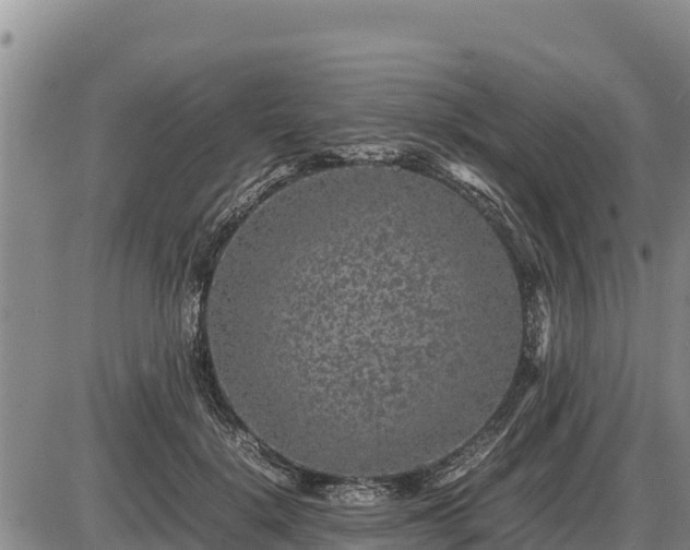 X0000087420652200704271738