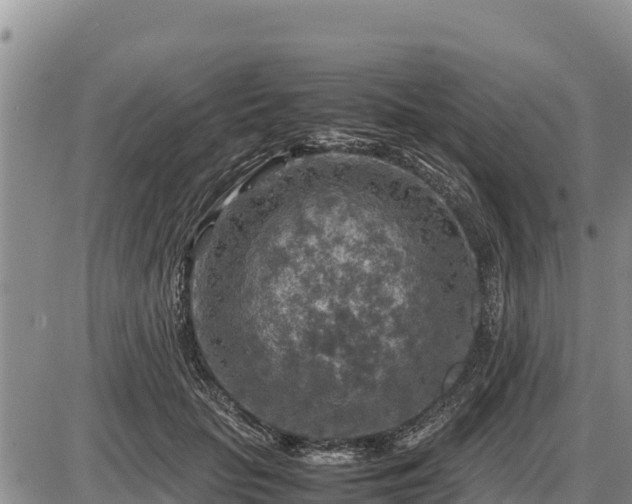 X0000087420653200704271738