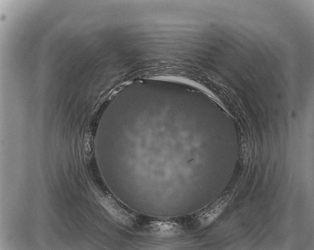 X0000087420654200704271738