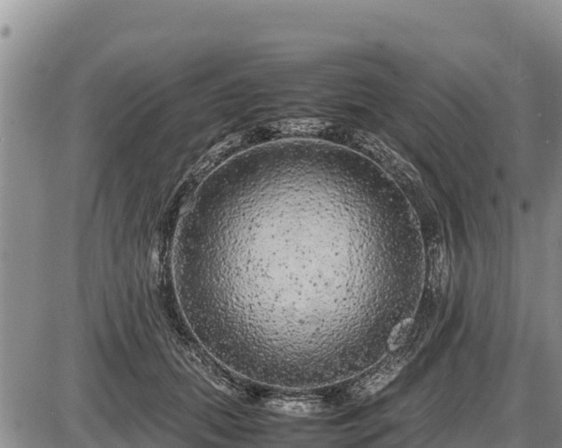 X0000087420655200704271738