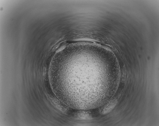 X0000087420656200704271738