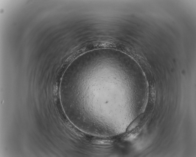 X0000087420657200704271738