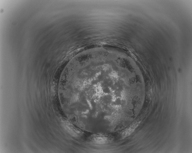 X0000087420658200704271738