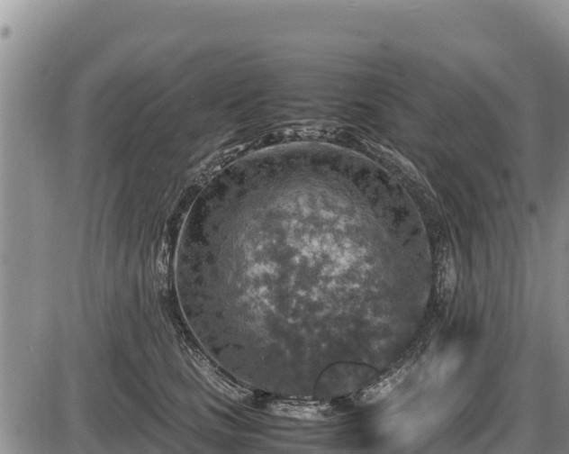 X0000087420661200704271738