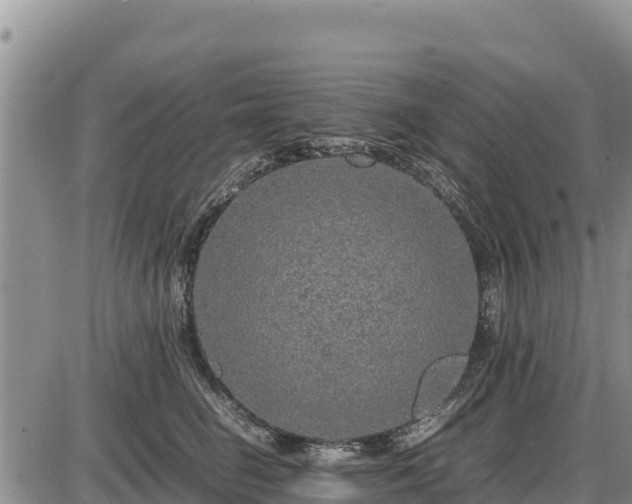 X0000087420662200704271738