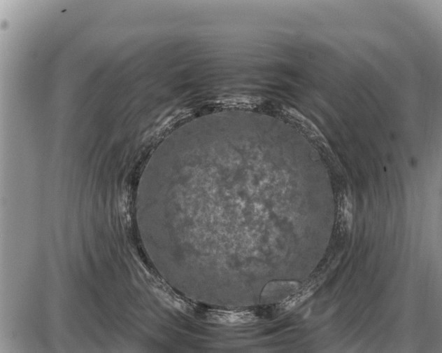 X0000087420663200704271738