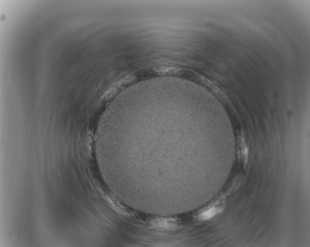 X0000087420664200704271738