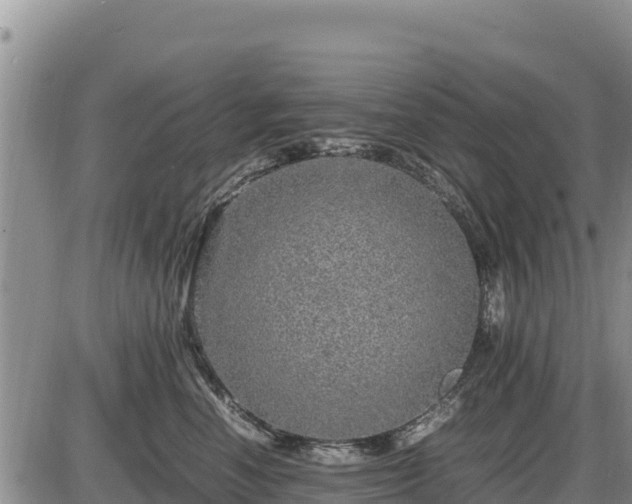 X0000087420666200704271738