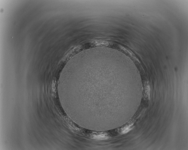 X0000087420667200704271738