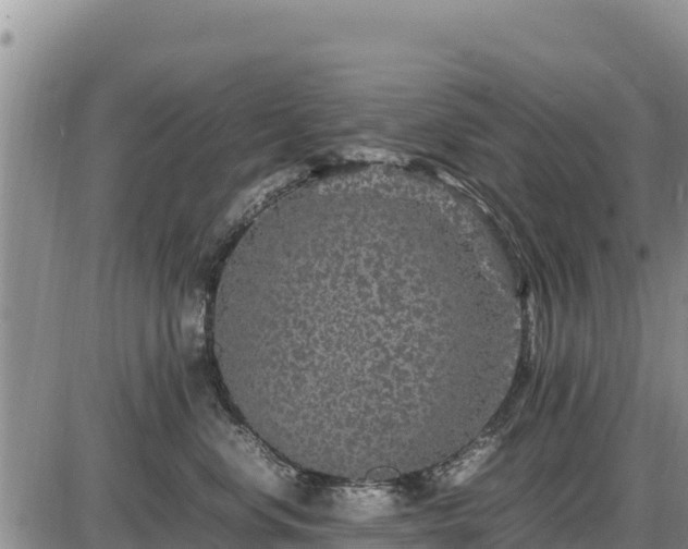 X0000087420668200704271738