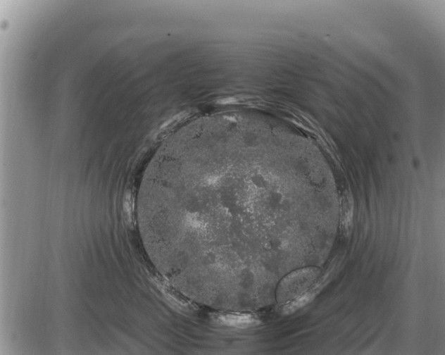 X0000087420669200704271738