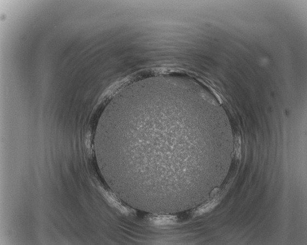 X0000087420670200704271738