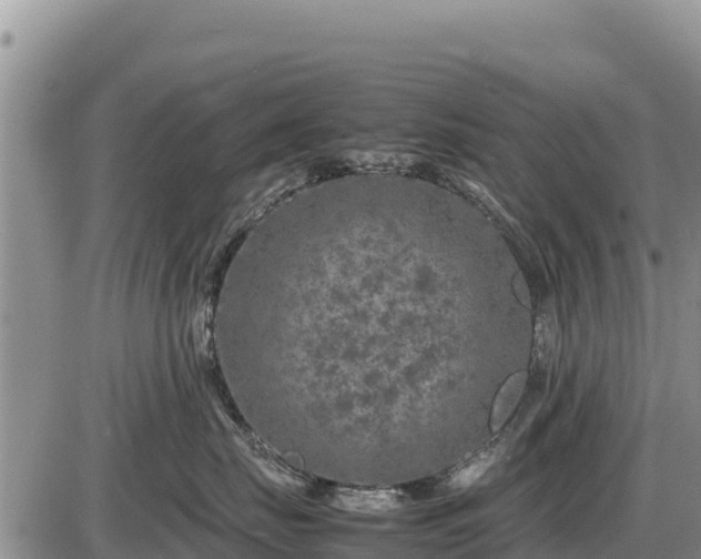 X0000087420671200704271738