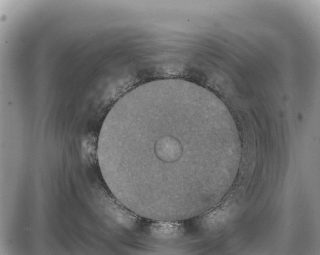 X0000087420672200704271739