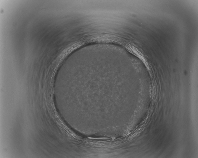 X0000087420673200704271738