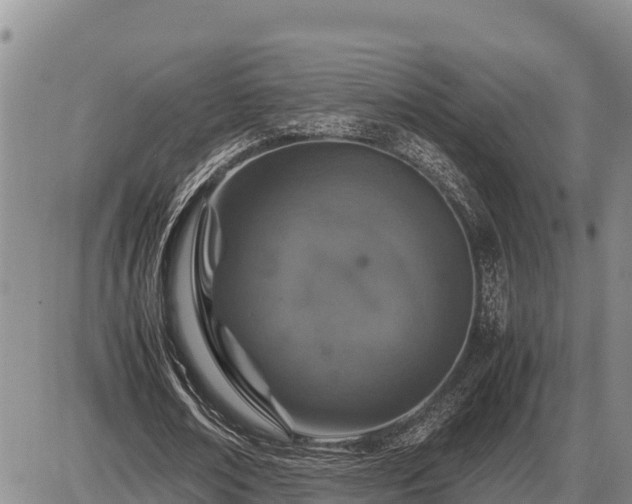 X0000087420674200704271738