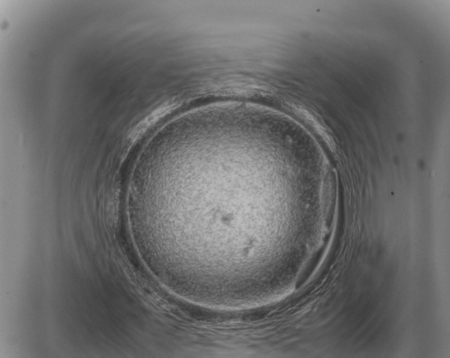 X0000087420675200704271738