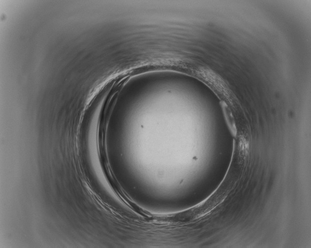 X0000087420676200704271738