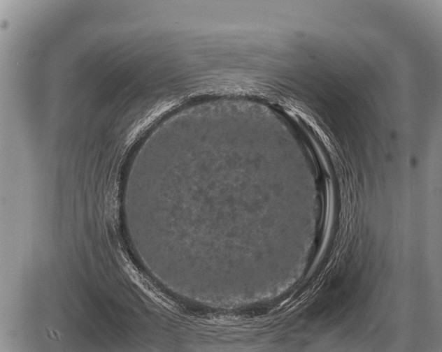 X0000087420677200704271738