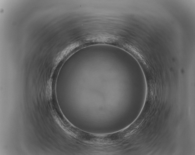 X0000087420678200704271738