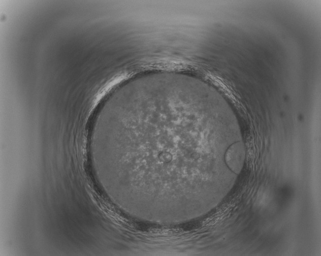 X0000087420679200704271738