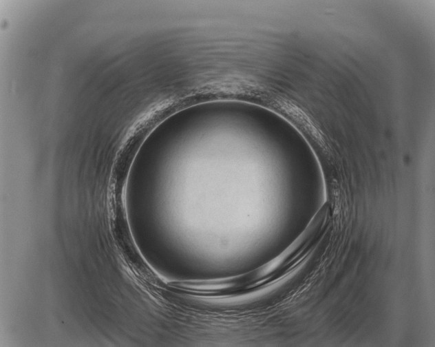 X0000087420680200704271738