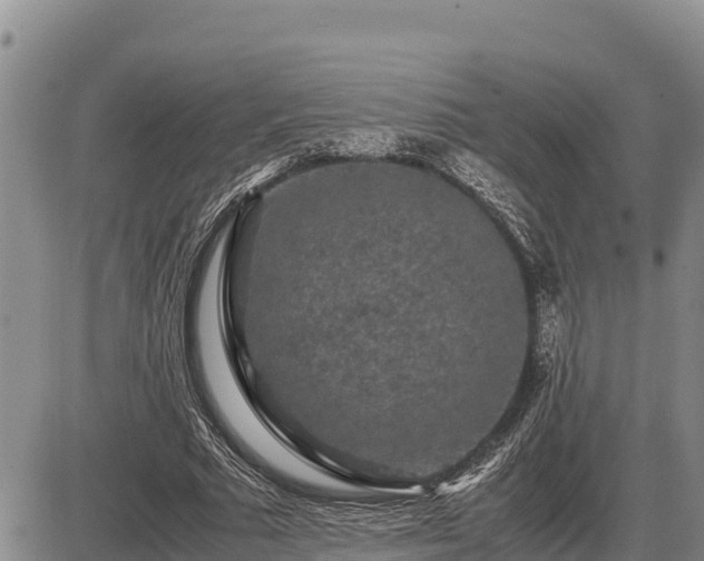 X0000087420681200704271738