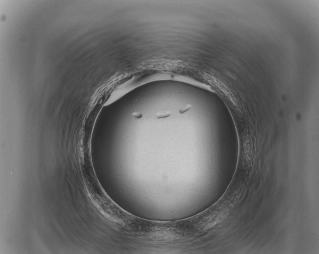 X0000087420682200704271738