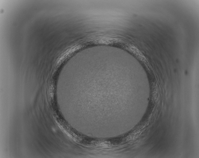 X0000087420683200704271738