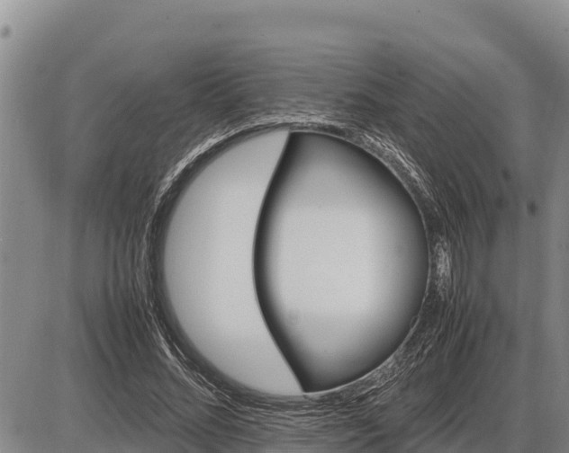 X0000087420684200704271738