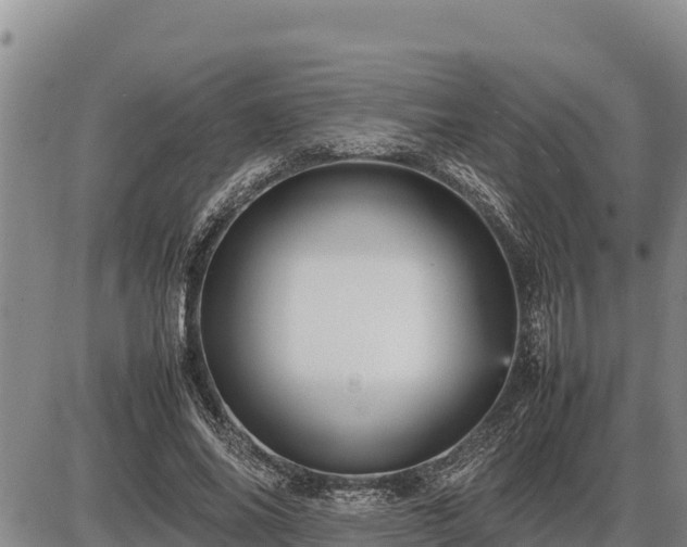 X0000087420686200704271738