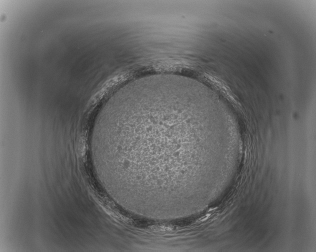 X0000087420687200704271737