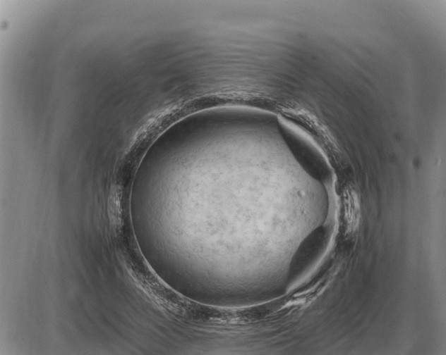 X0000087420688200704271737