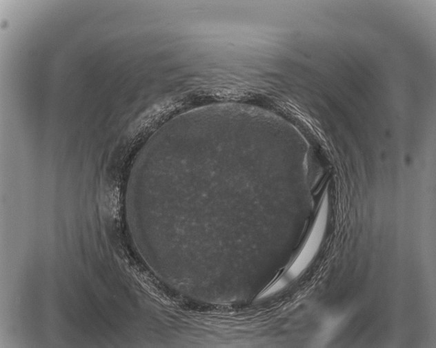 X0000087420689200704271737