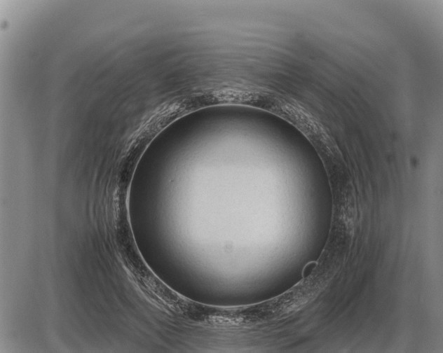 X0000087420690200704271737