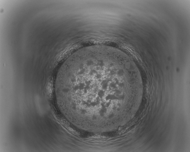 X0000087420691200704271737