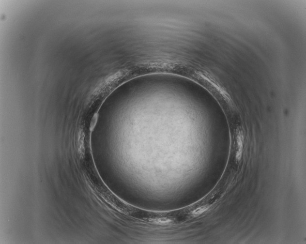 X0000087420692200704271737