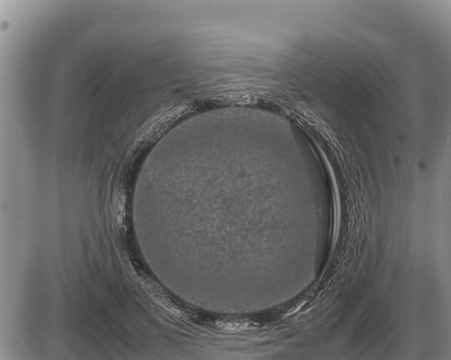 X0000087420693200704271737