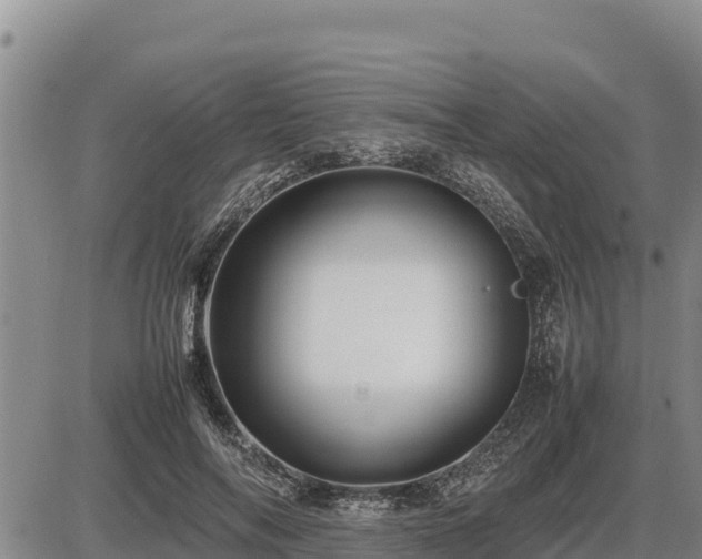 X0000087420694200704271737