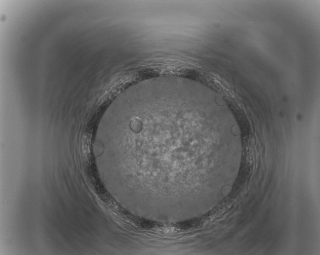 X0000087420695200704271737