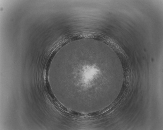 X0000087420696200704271737