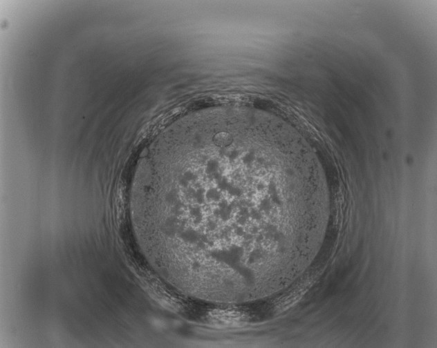 X0000087420699200704271737