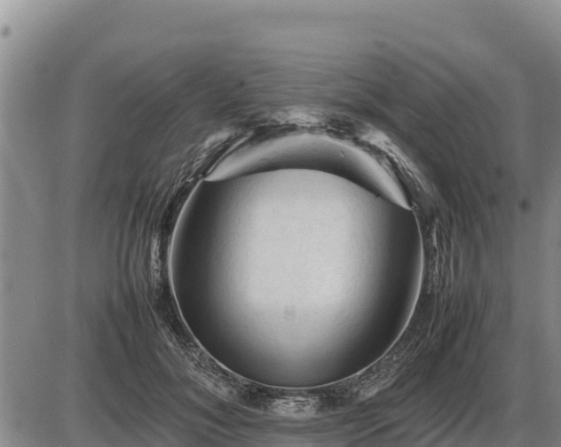 X0000087420700200704271737