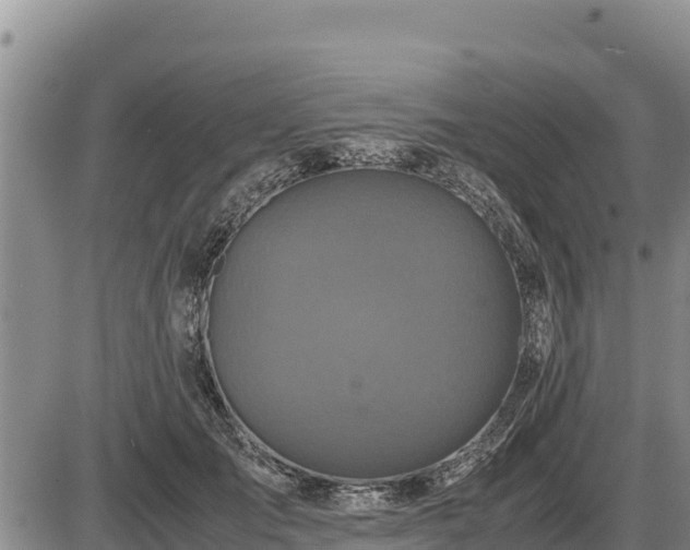 X0000087420701200704271737