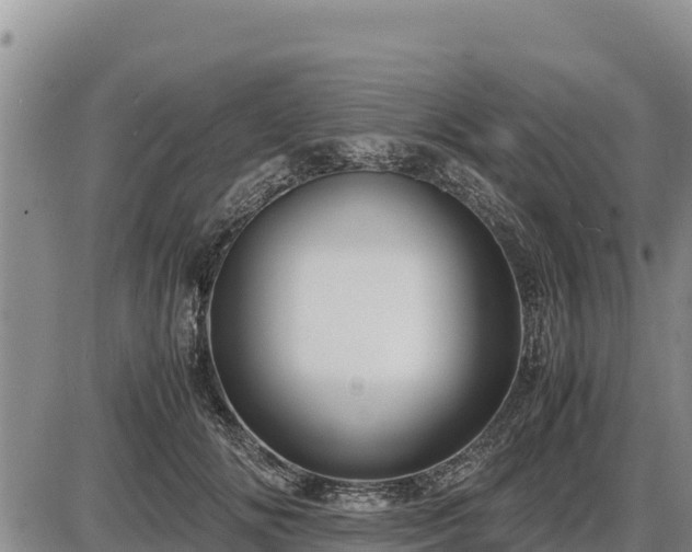 X0000087420702200704271737